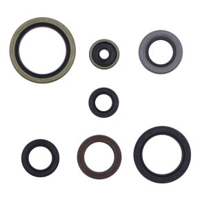 ATHENA Athena 18-22 KTM SX250/EXC300 Engine Oil Seal Kit - P400270400083