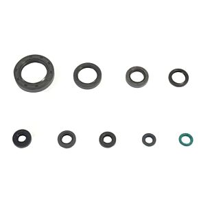 ATHENA Athena 1984 Honda CR 250 RE Engine Oil Seal Kit - P400210400249