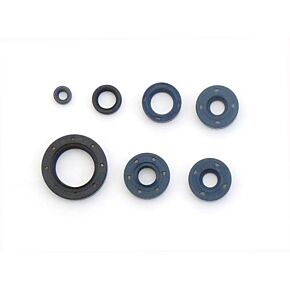 ATHENA Athena 2000 Bombardier DS 650 Engine Oil Seal Kit - P400070400001