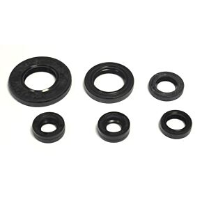 ATHENA Athena 2008 Yamaha TT-R125 EX Oil Seal Kit - P400485400157