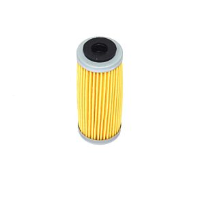 ATHENA Athena 21-24 Gas Gas EC 250 F Oil Filter - FFC044
