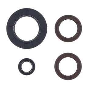 ATHENA Athena 74-81 KTM 250 2T GS-MX Engine Oil Seal Kit - P400270400031