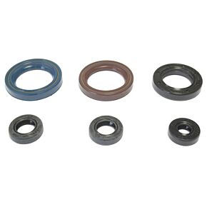 ATHENA Athena 84-86 KTM 125cc GS-MX Engine Oil Seal Kit - P400270400012