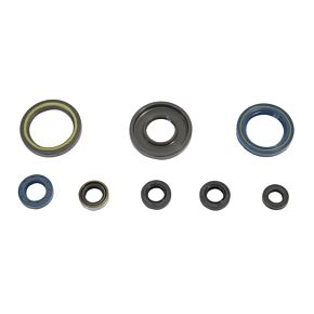 ATHENA Athena 84-89 KTM 250 GS-MX Engine Oil Seal Kit - P400270400033
