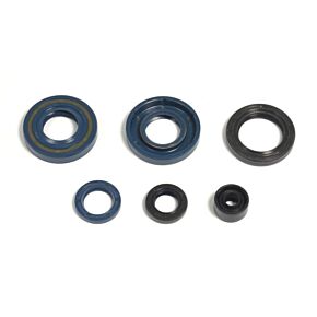 ATHENA Athena 85-03 Kawasaki KX 60 Oil Seal Kit - P400250400061