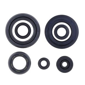 ATHENA Athena 87-06 Yamaha YFZ-Banshee 350 Engine Oil Seal Kit - P400485400351