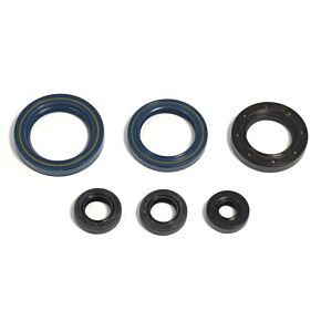 ATHENA Athena 87-94 KTM 125 GS MX Oil Seal Kit - P400270400014