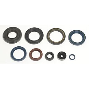 ATHENA Athena 90-03 KTM EXC 300 Engine Oil Seal Kit - P400270400220