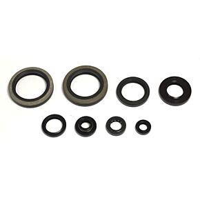ATHENA Athena 93-95 Suzuki RM 250 Engine Oil Seal Kit - P400510400252