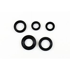 ATHENA Athena 94-00 Italjet Italjet 50 Engine Oil Seal Kit - P400510400019