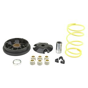ATHENA Athena 94-97 Peugeot Peugeot 50 Athena Complete Speedmatic Variator Kit - P400420110001