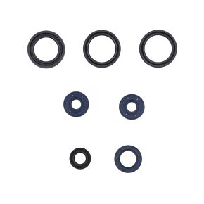ATHENA Athena 95-01 Aprilia 125 Engine Oil Seal Kit - P400010400013