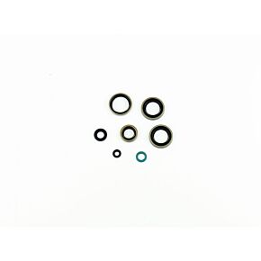 ATHENA Athena 97-03 Kawasaki KDX A 220 Engine Oil Seal Kit - P400250400221