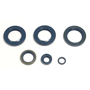 ATHENA Athena 98-02 KTM LC4-E 400 Engine Oil Seal Kit - P400270400051