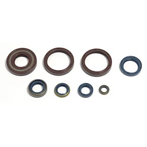 ATHENA Athena 99-04 Husqvarna WR/CR 250 Engine Oil Seal Kit - P400220400252