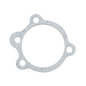 ATHENA Athena ATH Carburetor Gasket Kits - S410195093001