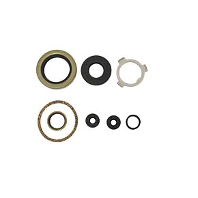 ATHENA Athena Harley-Davidson 74in & 80 Engine Oil Seal Kit - P400195370896