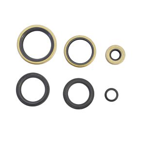 ATHENA Athena Harley-Davidson Engine Oil Seal Kit - P400195400740