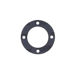 ATHENA Athena Harley-Davidson Models Mainshaft Seal Retainer Plate - Set of 10 - S410195021003