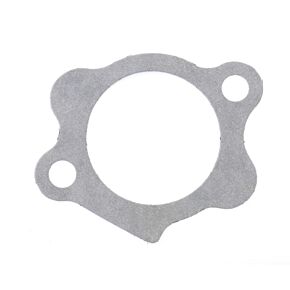 ATHENA Athena Harley-Davidson Sportsters Starter Mount Gasket - Set of 10 - S410195021001