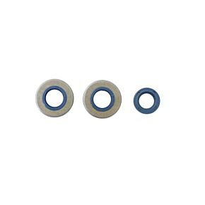 ATHENA Athena Minarelli 2T V1 49 Engine Oil Seal Kit - P400130400060