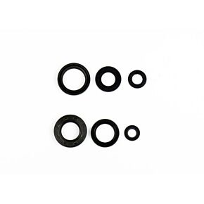 ATHENA Athena Yamaha WR 200 Engine Oil Seal Kit - P400485400047