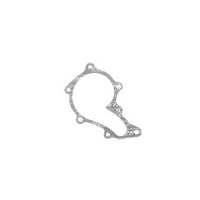 Cometic Gasket Cometic Gasket CG Water Pump Repair Kit - C4812-039