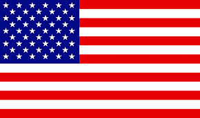 DragonFire Racing DragonFire Racing Whip Flag - American Flag - 522125