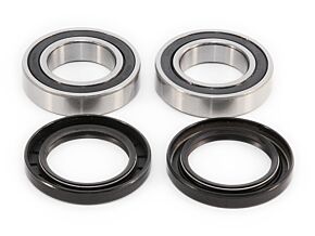 Epi EPI 01-06 Yamaha 200-250 Blaster/Bruin Wheel Bearing Kit - WE301155
