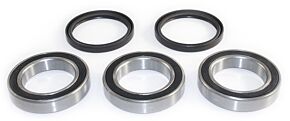Epi EPI 04-14 Honda TRX450 Wheel Bearing Kit - WE301045