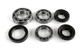 Epi EPI 16-21 Honda 1000 Pioneer/5 Differential Bearing/Seal Kit - WE290147