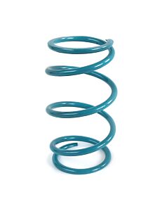 Epi EPI 16-22 Polaris RZR XP Turbo/S/4/ RZR RS1 Secondary Spring Teal - PEBS30