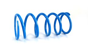 Epi EPI 16+ Can-Am 800-1000 Maverick/Defender/Commander/ X3 Primary Spring Blue - CAPS3