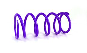 Epi EPI 16+ Can-Am 800-1000 Maverick/Defender/Commander/ X3 Primary Spring Dark Purple - CAPS5