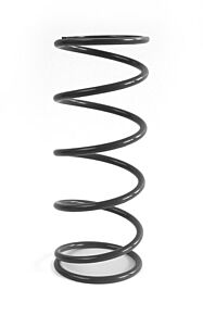Epi EPI 20+ Polaris RZR Pro XP/4/RZR Turbo R/4 Primary Spring Almond - XPPS6