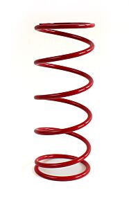 Epi EPI 20+ Polaris RZR Pro XP/4/RZR Turbo R/4Primary Spring Red - XPPS2