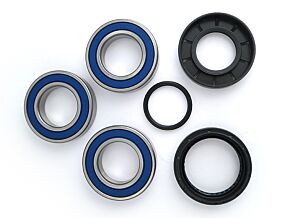 Epi EPI 97-21 Honda TRX250 Rear Wheel Bearing Kit - WE301021