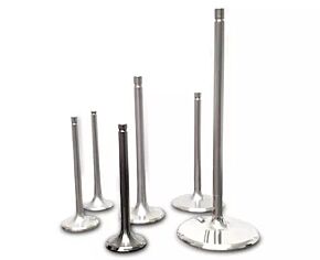 Ferrea Ferrea FER Powersports Ti Exh Valves - Sets - F0401