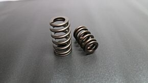 Ferrea Ferrea FER Powersports Valve Springs - Sets - S2019