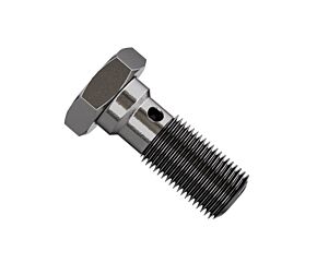 Goodridge Goodridge Single Banjo Bolt Long 3/8x24 - P775-03LC