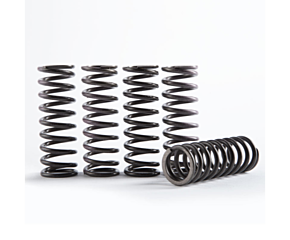 Hinson Clutch Hinson Clutch 09-13 Yamaha YZ250F Hi-Temp Clutch Spring Kit - Set of 5 - CS341-5-0311