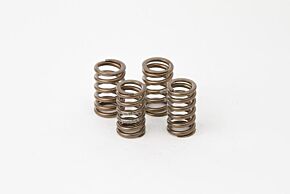 Hot Cams Hot Cams Valve Spring Kit, Boxed, ea, 1 - VSK2006