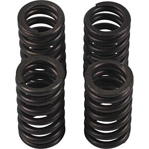 Hot Cams Hot Cams Valve Spring Kit, ea, 1 - VSK2002