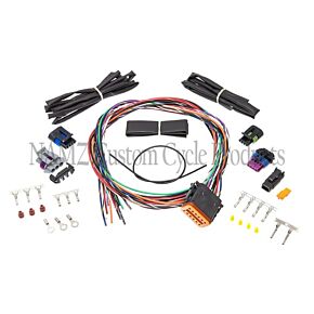 Namz NAMZ NAM Complete Harnesses - NSAIH-01
