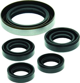 QuadBoss QuadBoss 06-07 Polaris Outlaw 500 Oil Seal Set - 564349