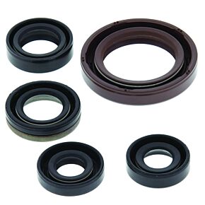 QuadBoss QuadBoss 06-09 Suzuki LT-R450 QuadRacer Oil Seal Set - 564175