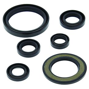QuadBoss QuadBoss 06-20 Yamaha YFM700R Raptor Oil Seal Set - 564302