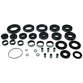 QuadBoss QuadBoss 18-19 Polaris Ranger 1000 EPS Transaxle Bearing Kit - 401291