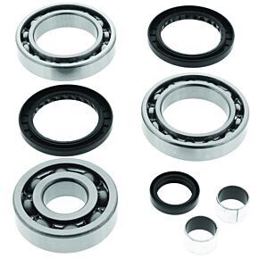 QuadBoss QuadBoss 2002 Polaris ATV Pro 500 4x4 PPS Rear Differential Bearing & Seal Kit - 413026