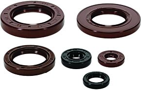 QuadBoss QuadBoss 2022 Can-Am Commander 700 DPS Oil Seal Set - 564684